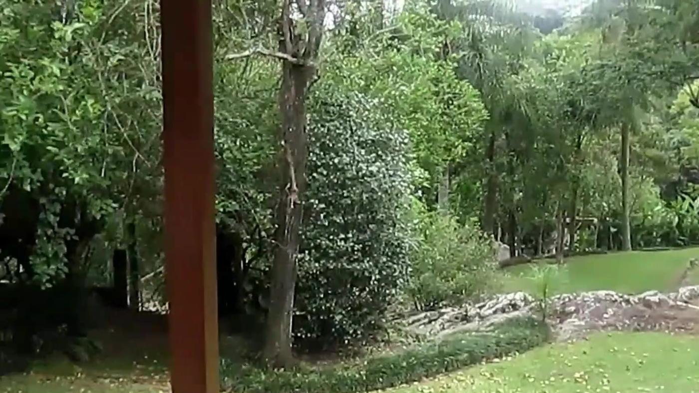 Chácara, 4 quartos, 4000 m² - Foto 16