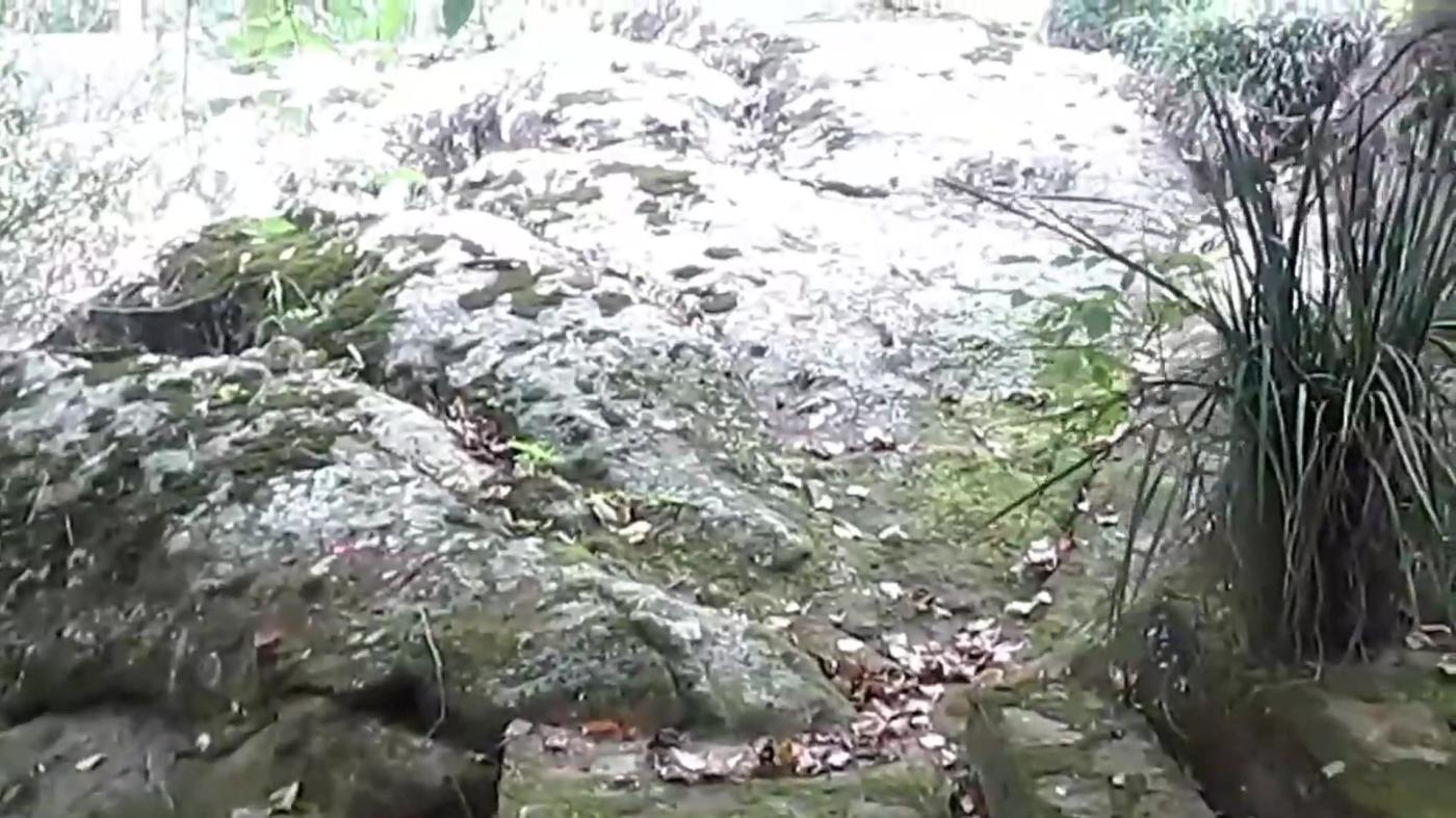 Chácara, 4 quartos, 4000 m² - Foto 27