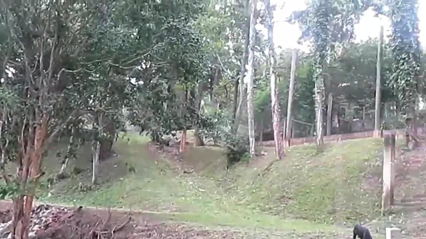 Chácara, 4 quartos, 4000 m² - Foto 29