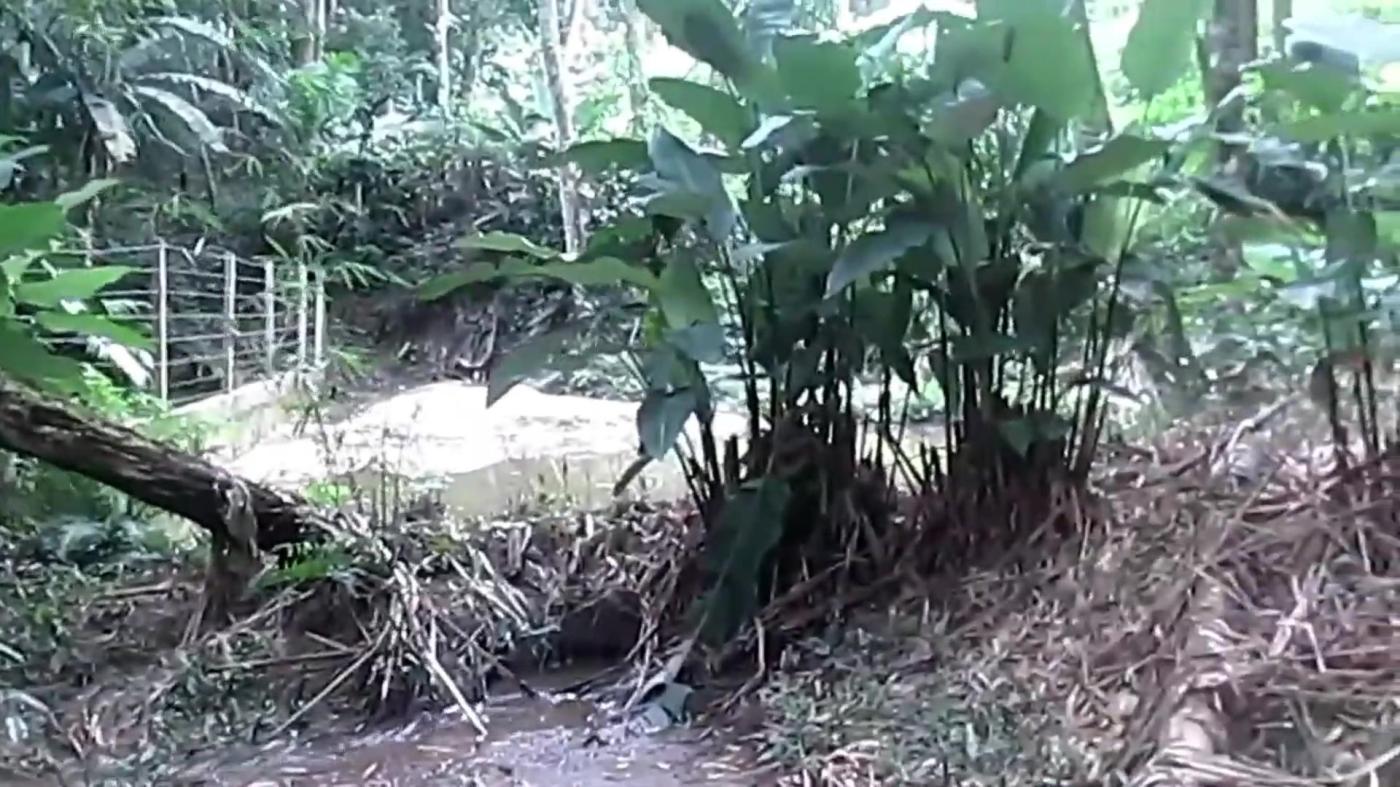 Chácara, 4 quartos, 4000 m² - Foto 31