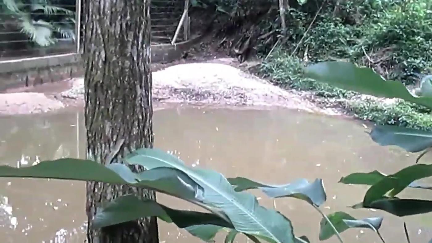 Chácara, 4 quartos, 4000 m² - Foto 30