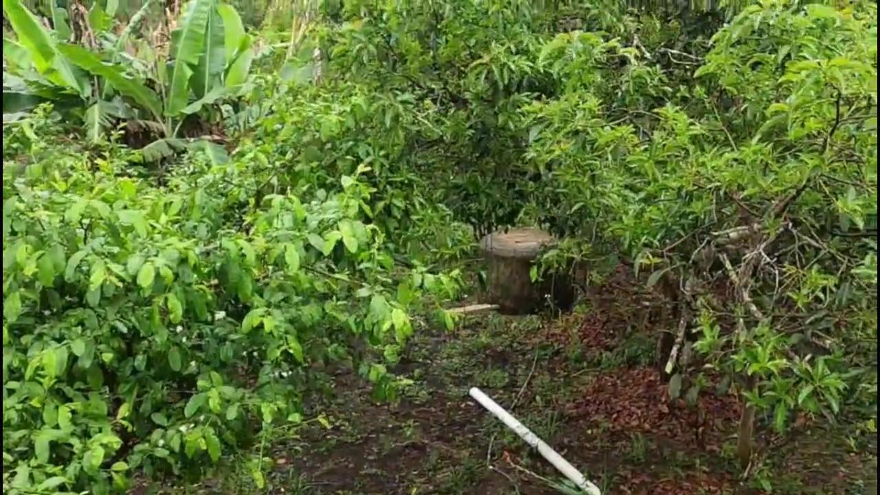 Casa de Condomínio, 3 quartos - Foto 21