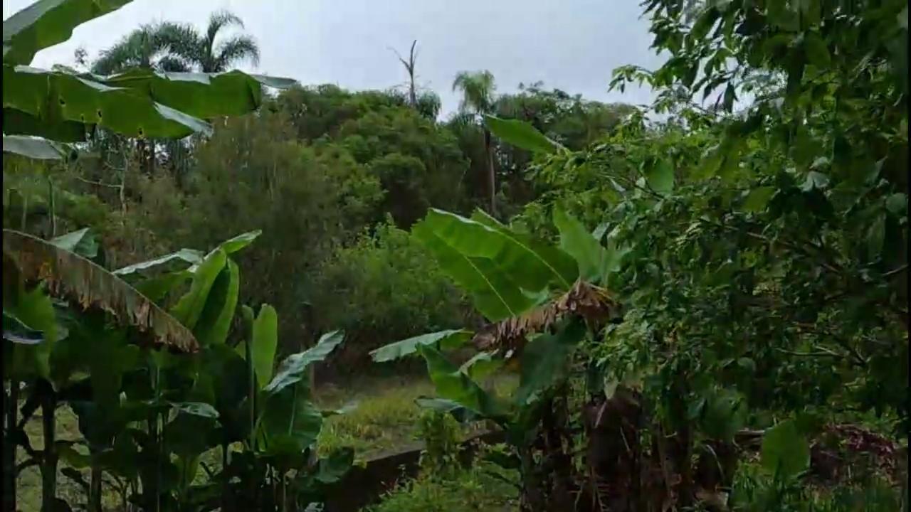 Casa de Condomínio, 3 quartos - Foto 26