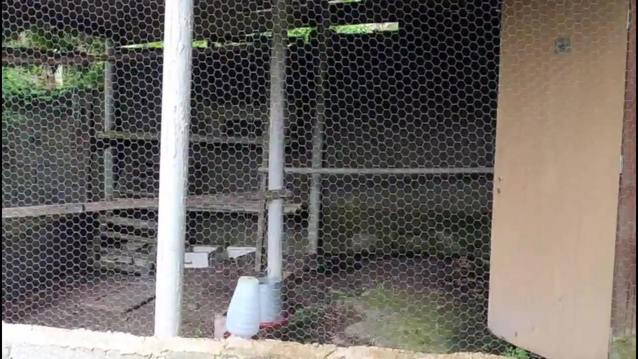 Casa de Condomínio, 3 quartos - Foto 27