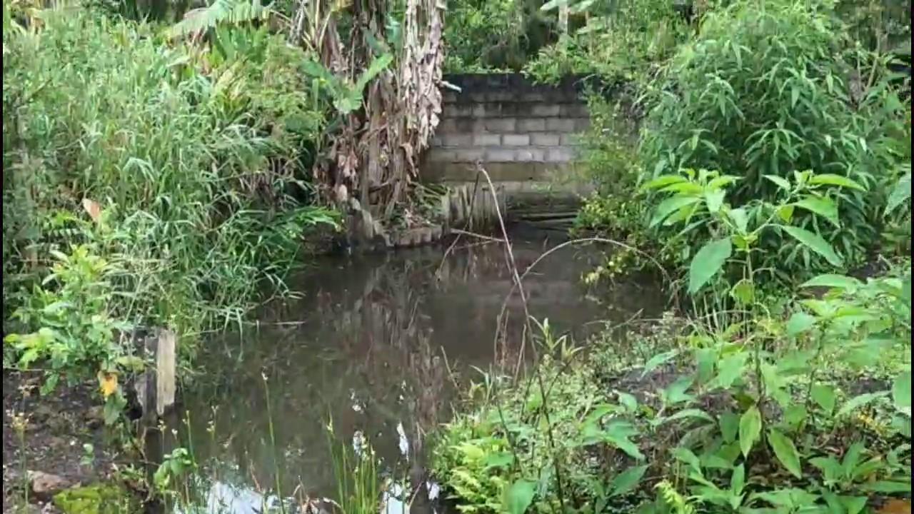 Casa de Condomínio, 3 quartos - Foto 29