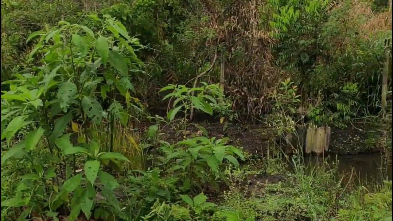 Casa de Condomínio, 3 quartos - Foto 28