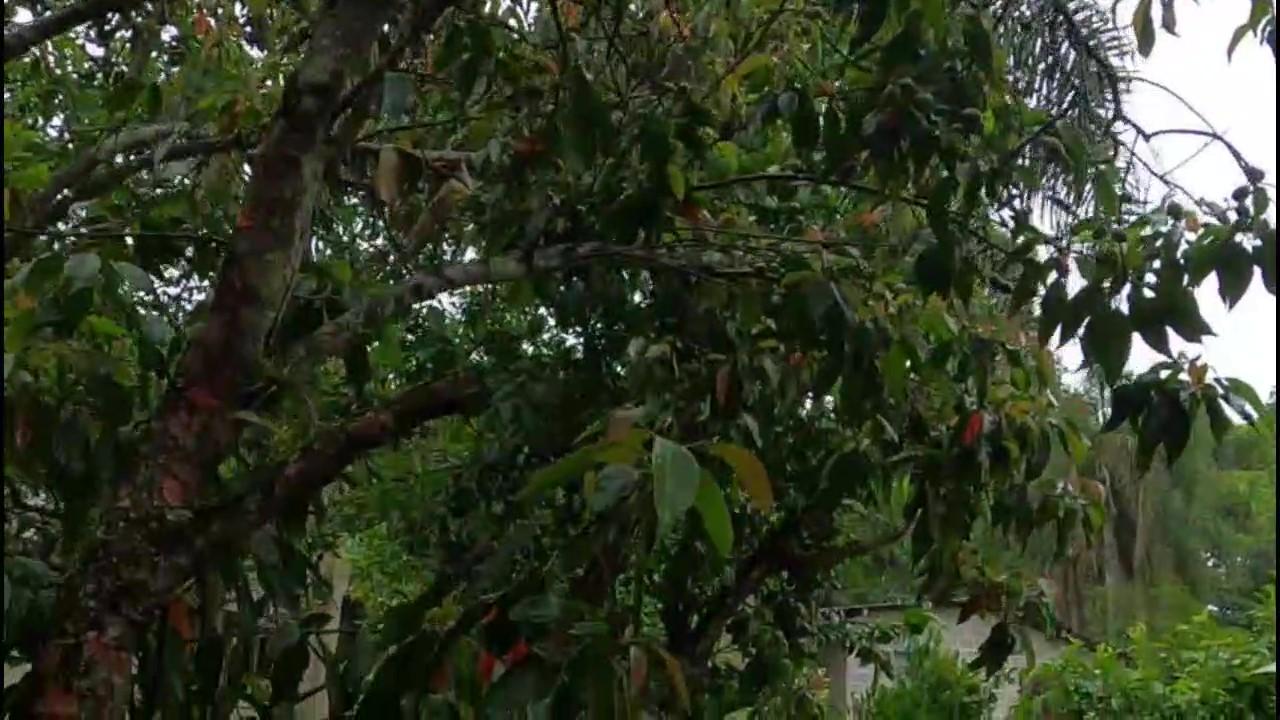 Casa de Condomínio, 3 quartos - Foto 31