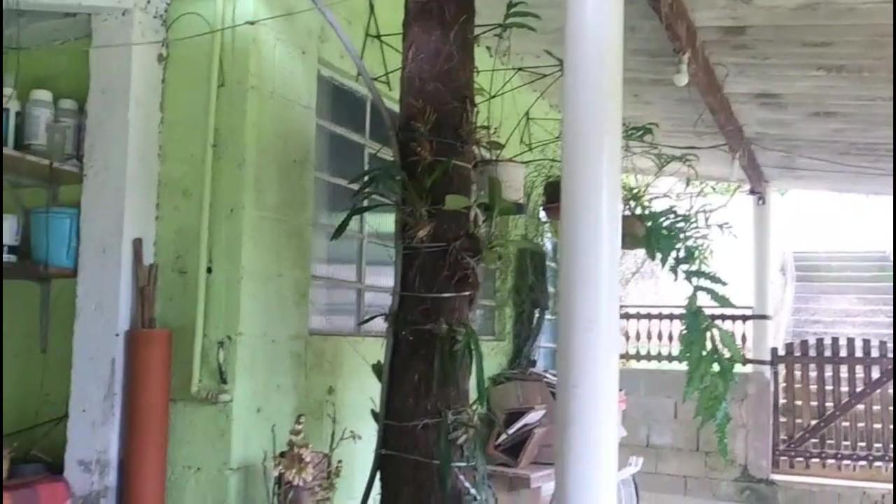 Casa de Condomínio, 3 quartos - Foto 25