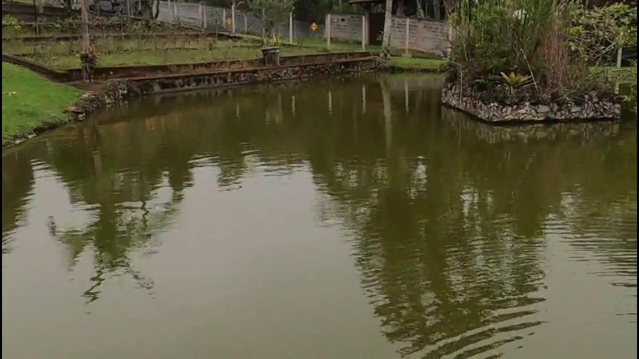 Casa de Condomínio, 3 quartos - Foto 39