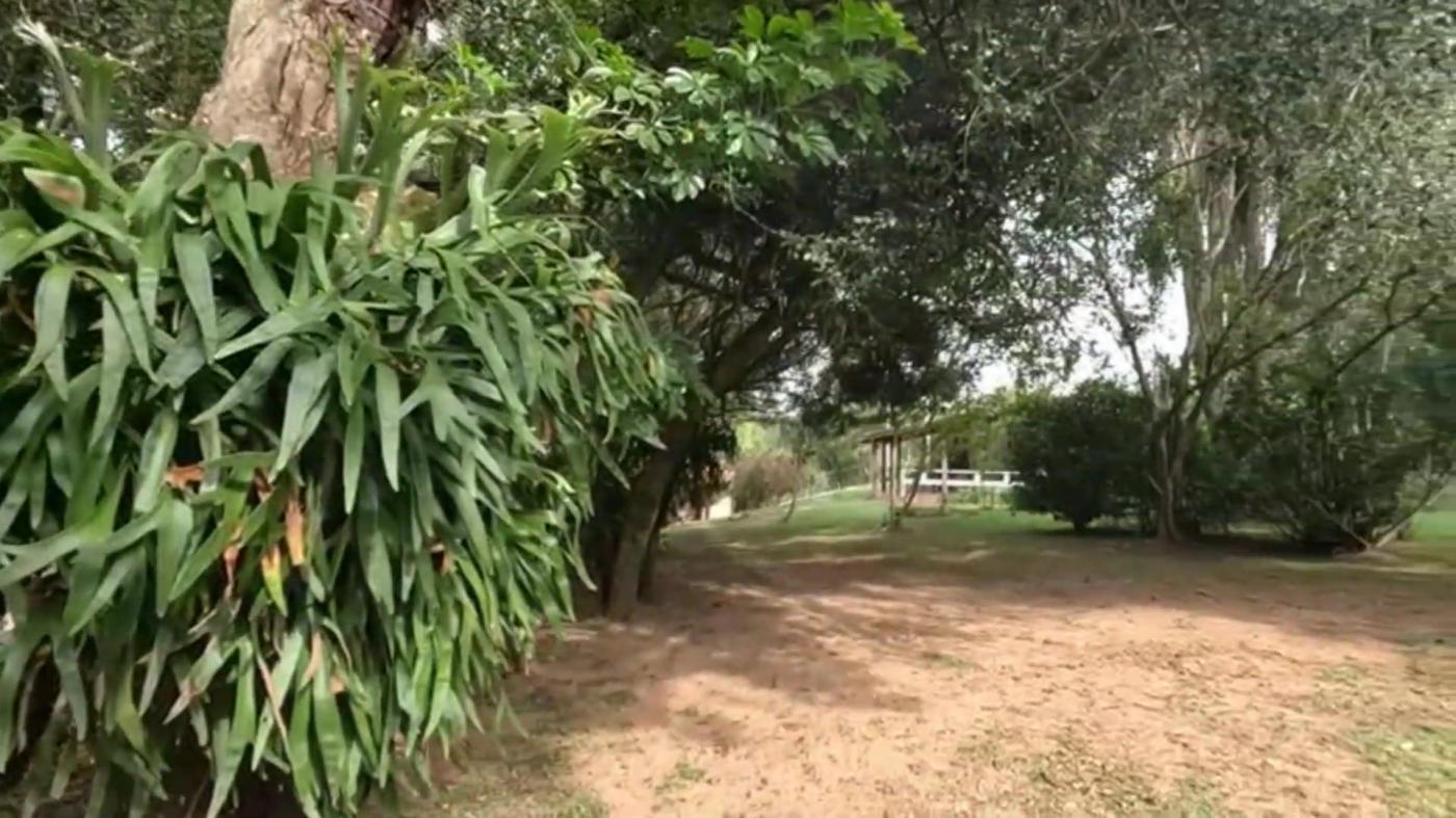 Chácara, 2 quartos, 3100 m² - Foto 8