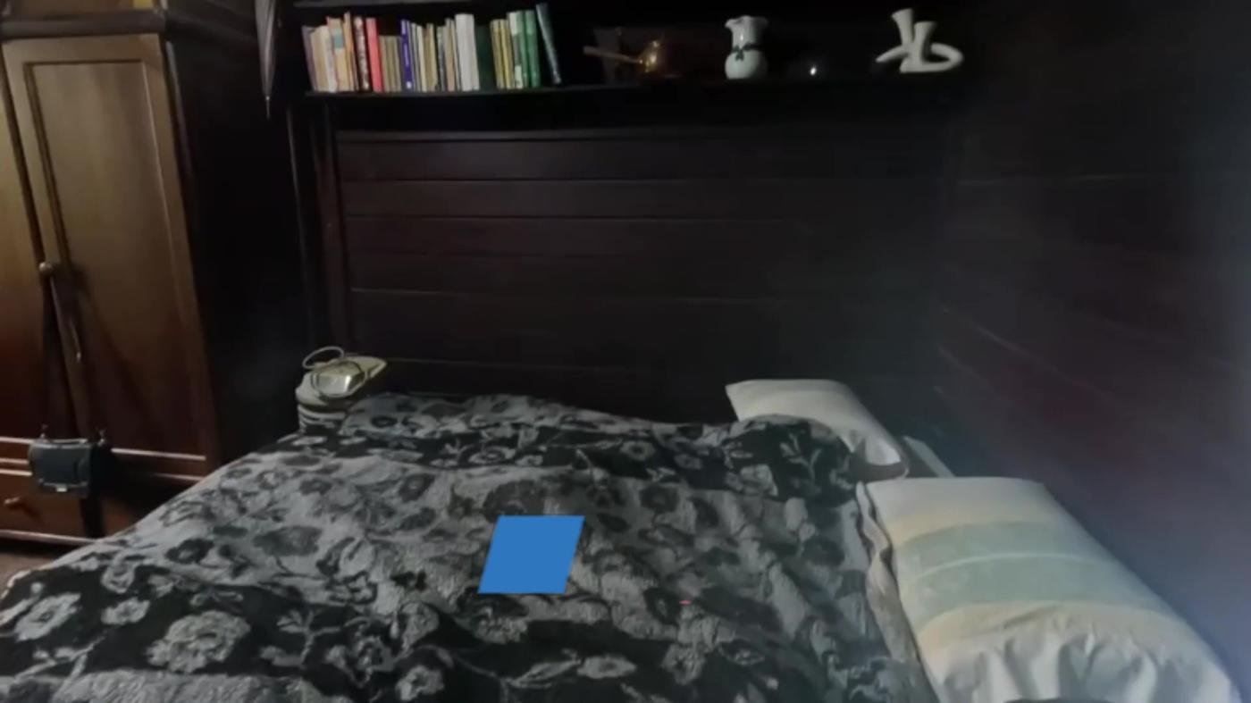 Chácara, 2 quartos, 3100 m² - Foto 18