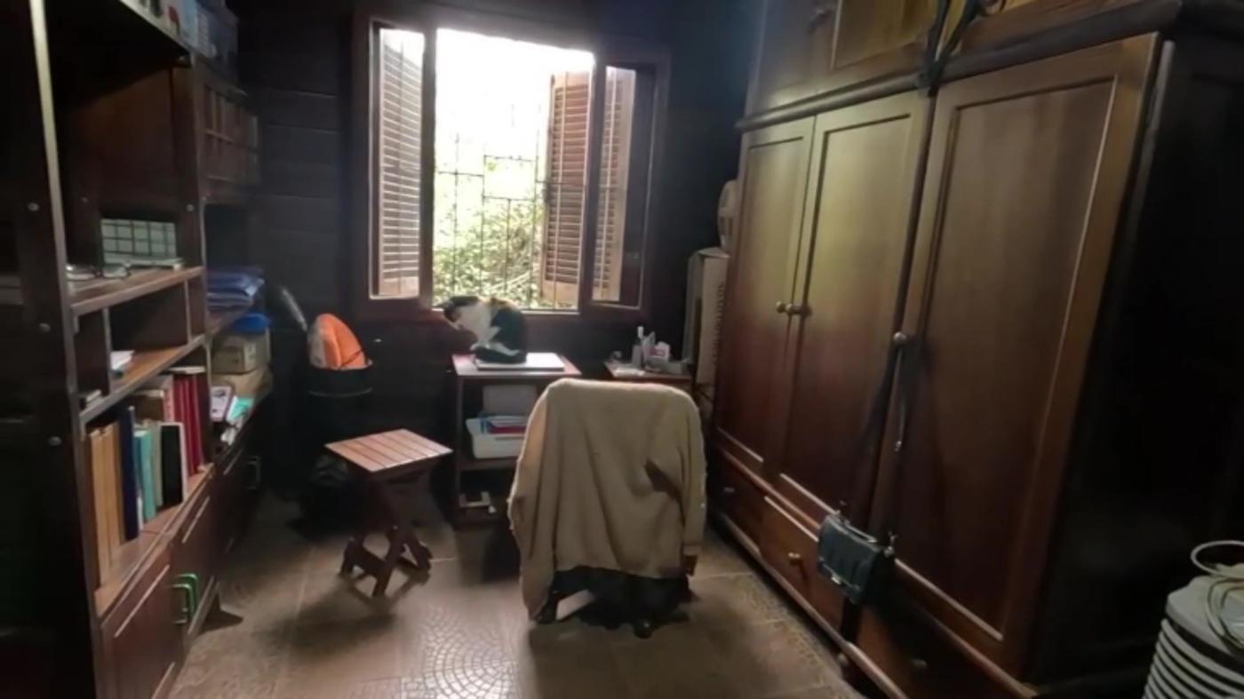 Chácara, 2 quartos, 3100 m² - Foto 19