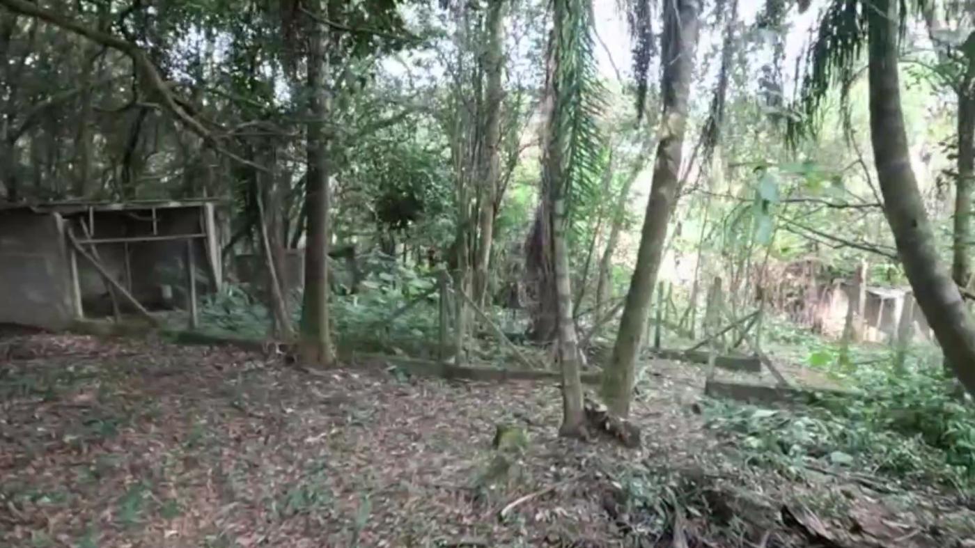 Chácara, 2 quartos, 3100 m² - Foto 38