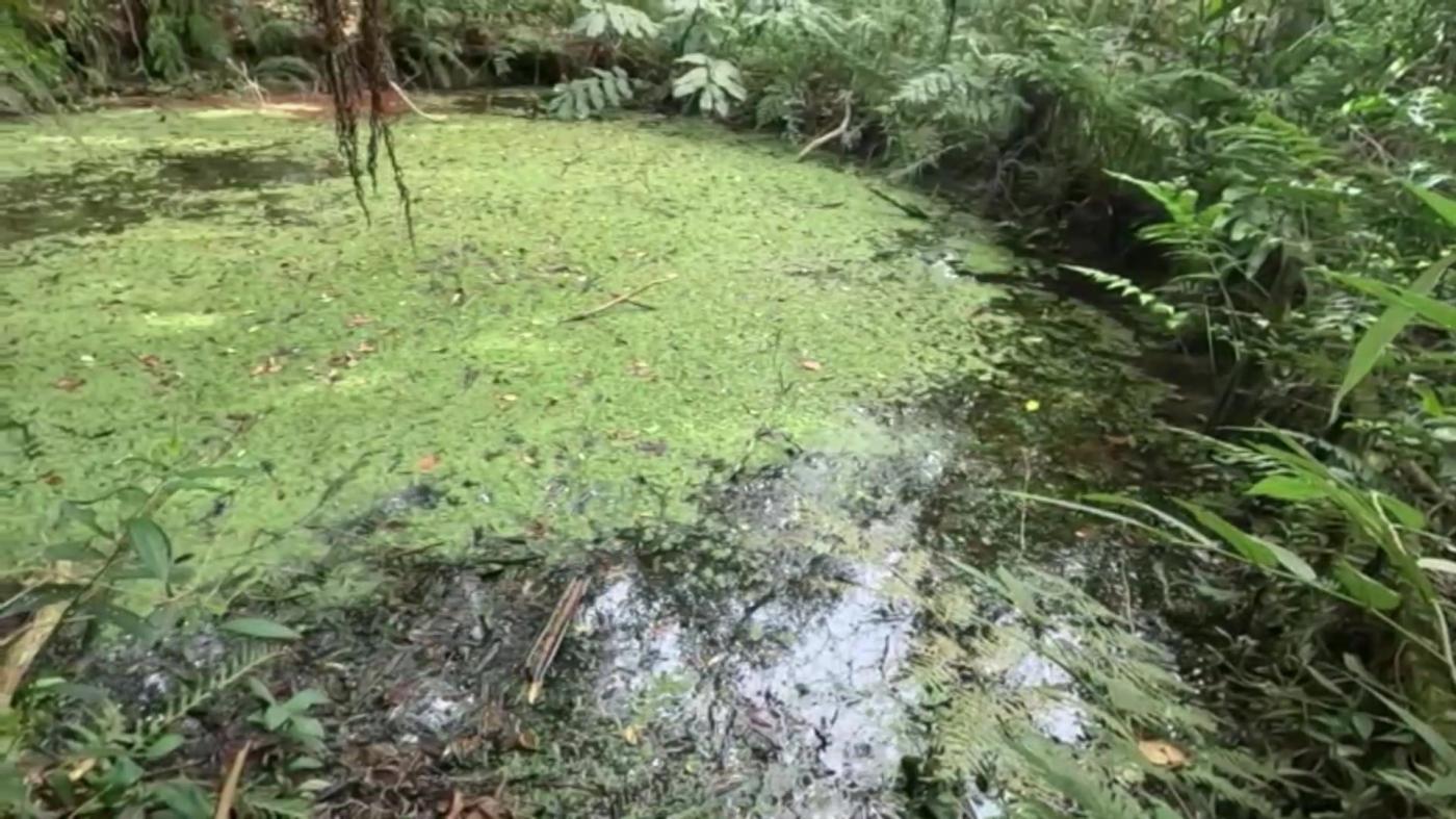 Chácara, 2 quartos, 3100 m² - Foto 40