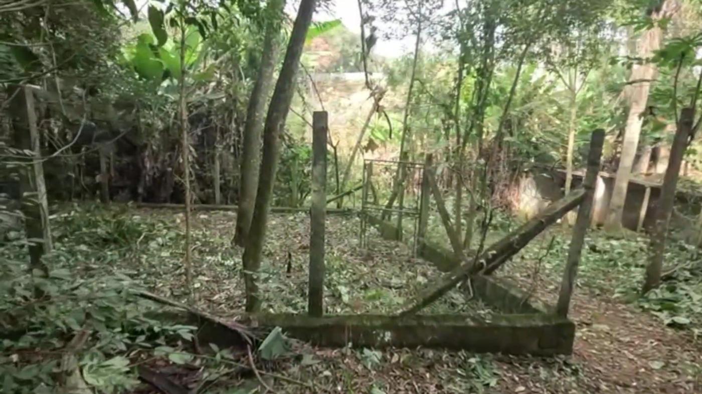 Chácara, 2 quartos, 3100 m² - Foto 39