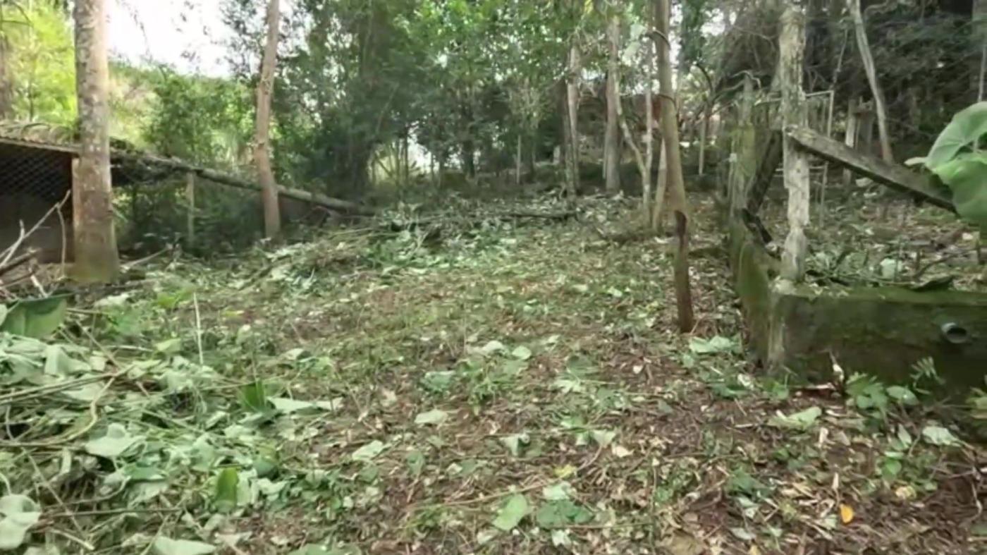 Chácara, 2 quartos, 3100 m² - Foto 41