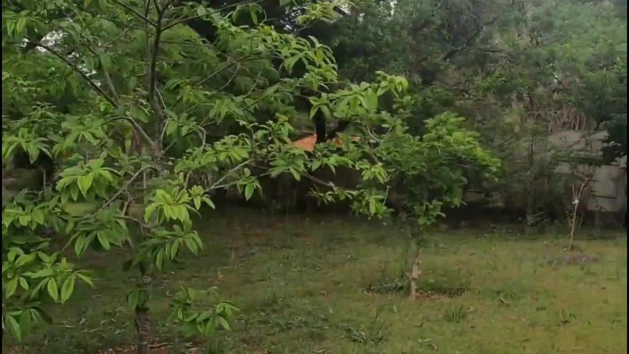 Casa de Condomínio - Foto 21