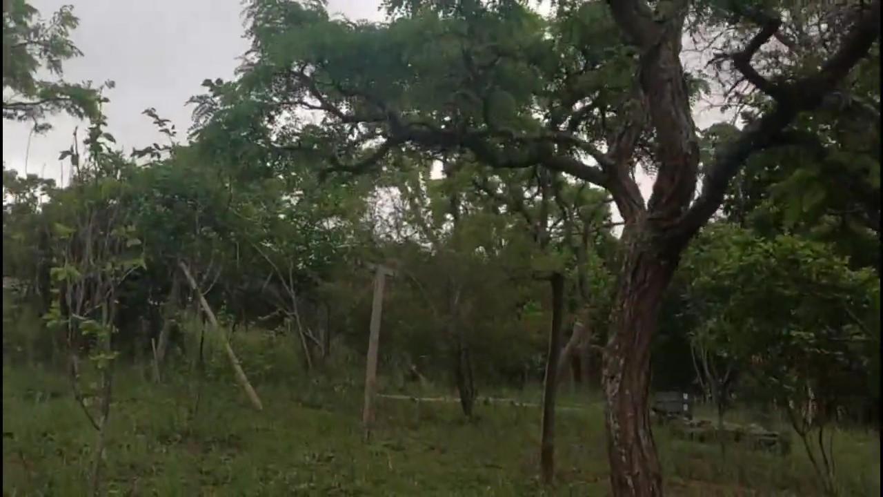 Casa de Condomínio - Foto 27