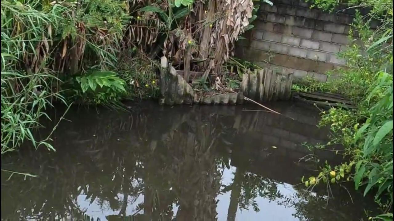 Casa de Condomínio, 3 quartos - Foto 44