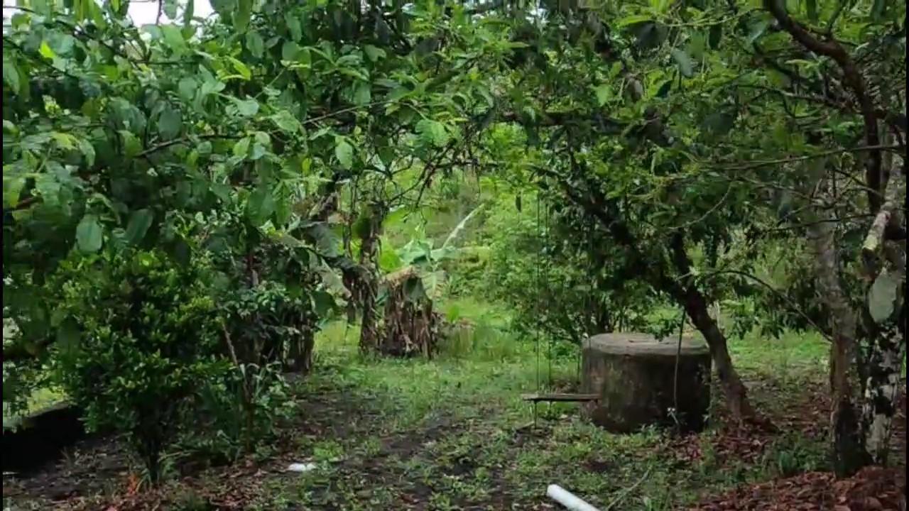 Casa de Condomínio, 3 quartos - Foto 40