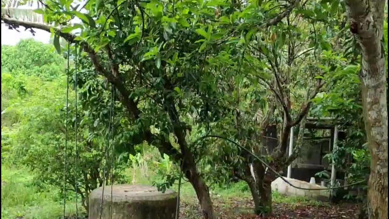 Casa de Condomínio, 3 quartos - Foto 41