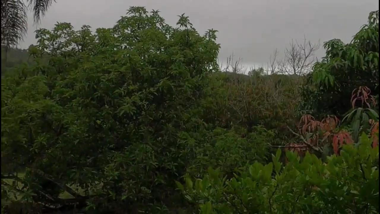 Casa de Condomínio, 3 quartos - Foto 50