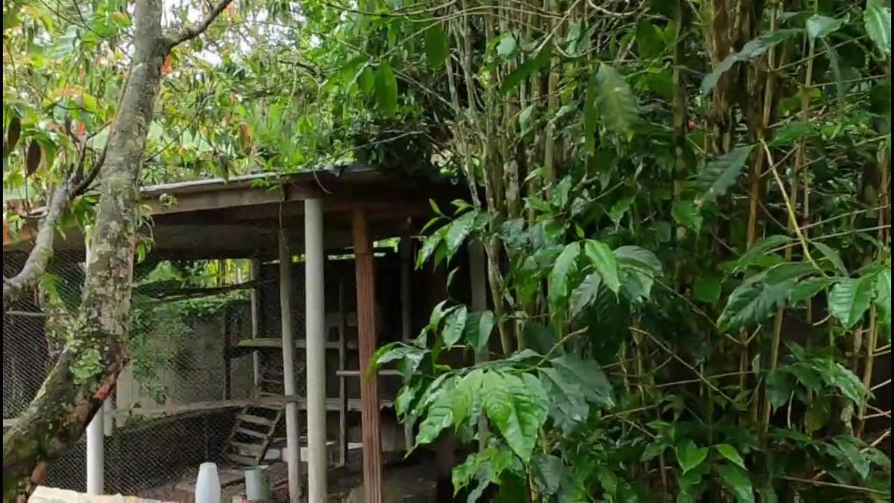 Casa de Condomínio, 3 quartos - Foto 47