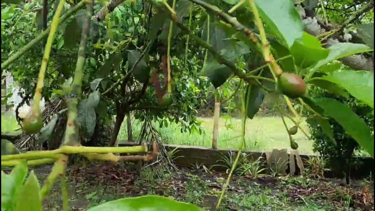 Casa de Condomínio, 3 quartos - Foto 49