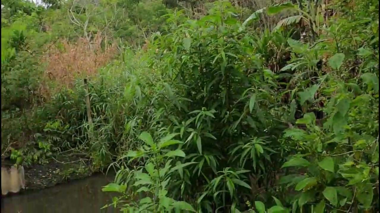 Casa de Condomínio, 3 quartos - Foto 46