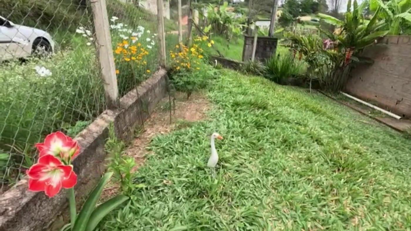 Chácara, 3 quartos, 1000 m² - Foto 5