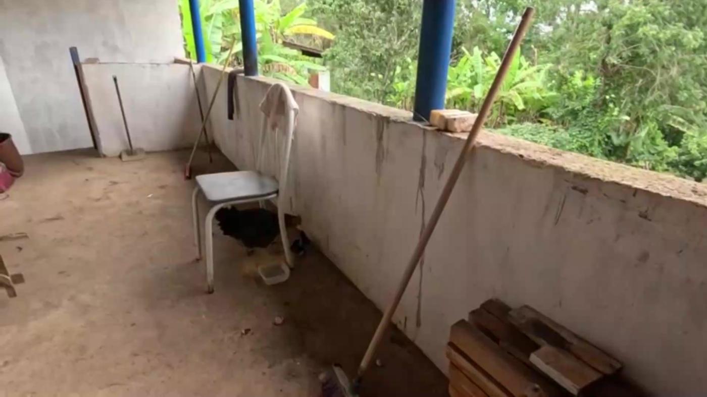 Chácara, 3 quartos, 1000 m² - Foto 18