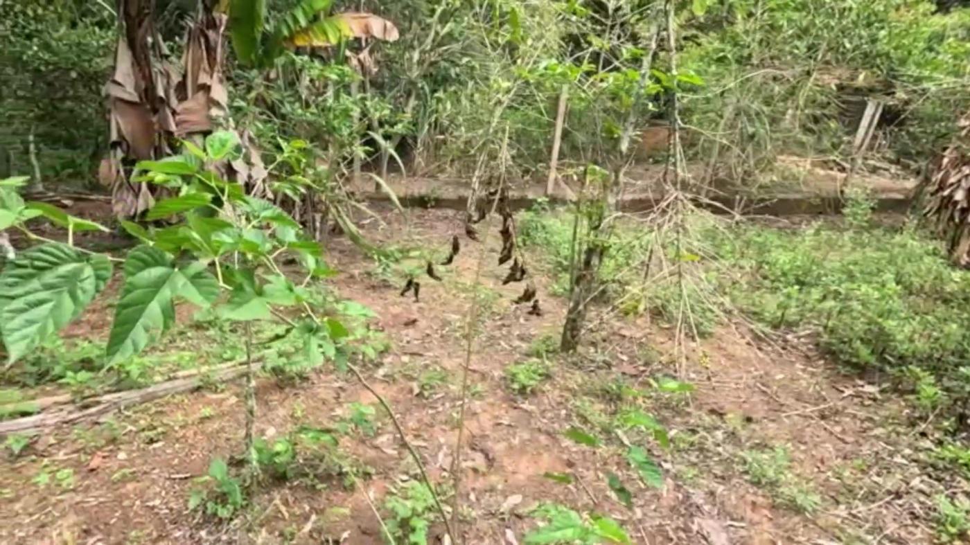 Chácara, 3 quartos, 1000 m² - Foto 27