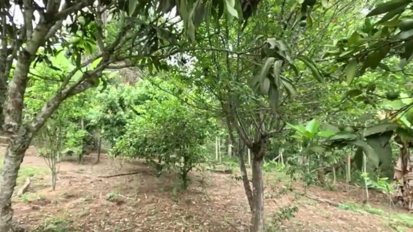 Chácara, 3 quartos, 1000 m² - Foto 26