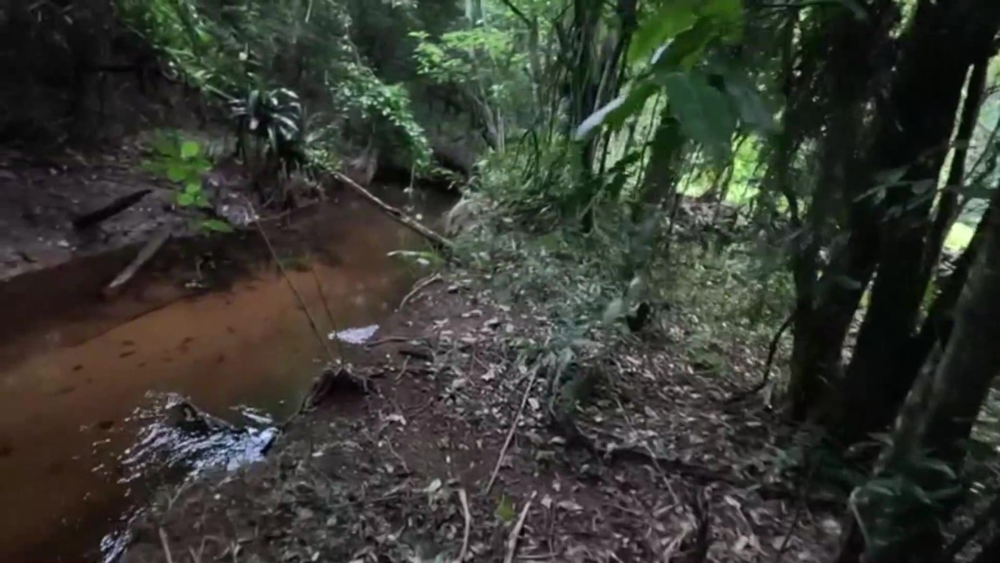 Chácara, 2 quartos, 4500 m² - Foto 3