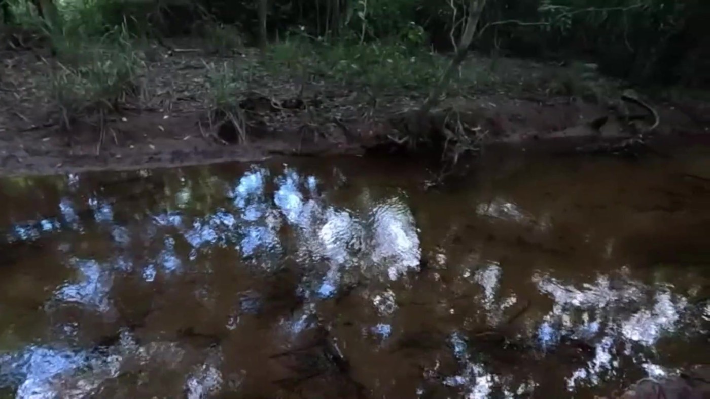 Chácara, 2 quartos, 4500 m² - Foto 2