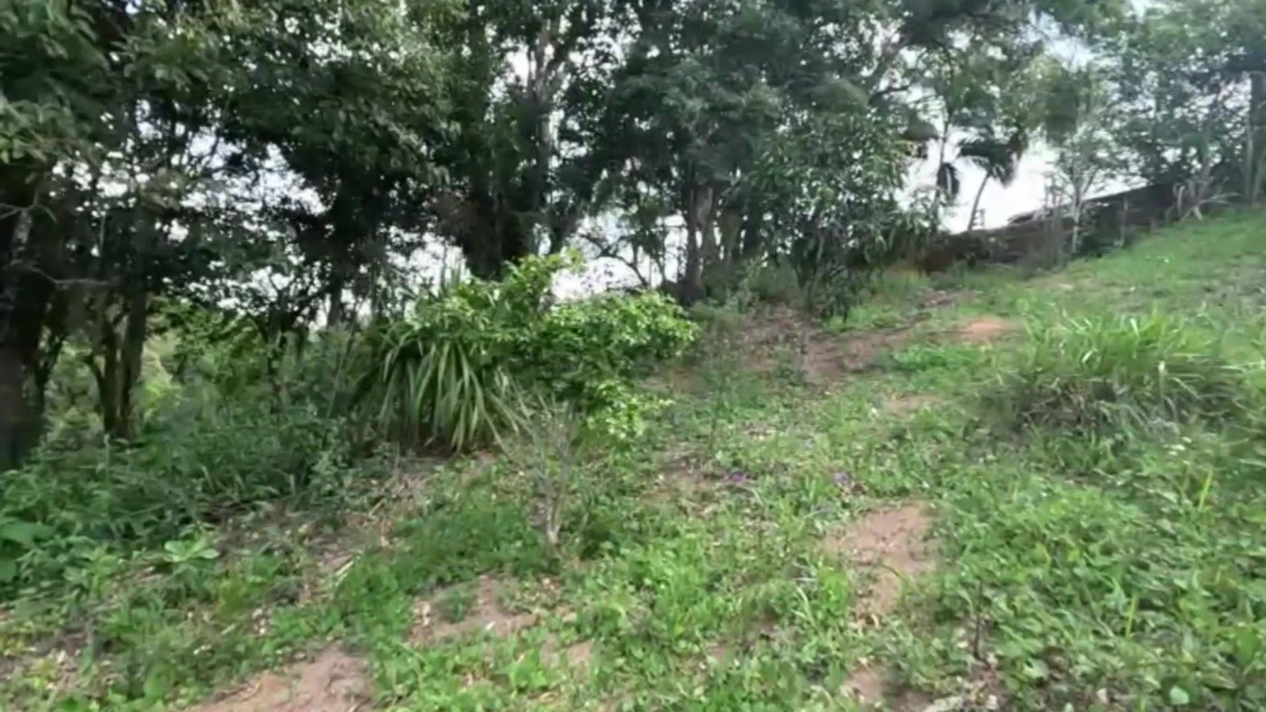 Chácara, 2 quartos, 4500 m² - Foto 20