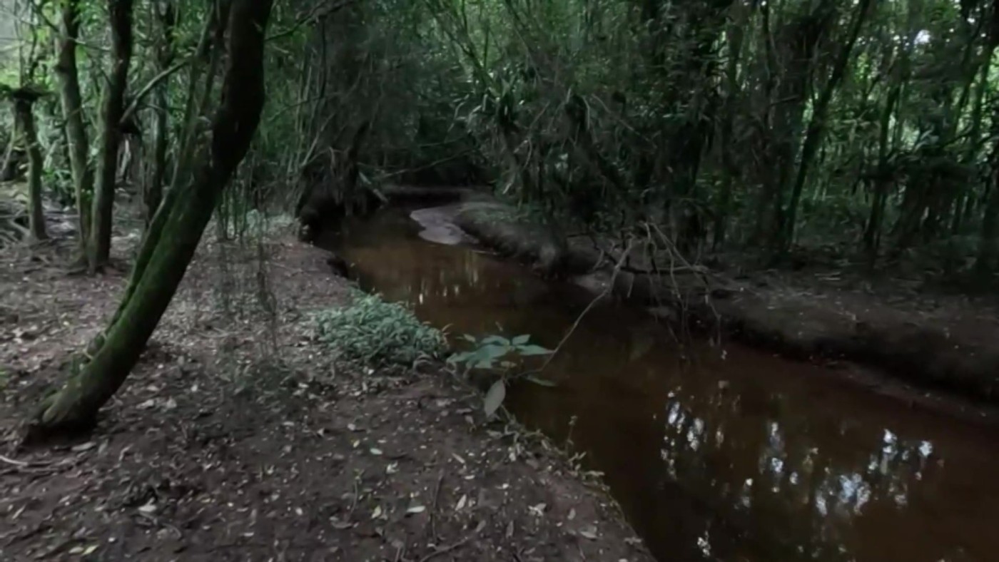 Chácara, 2 quartos, 4500 m² - Foto 24