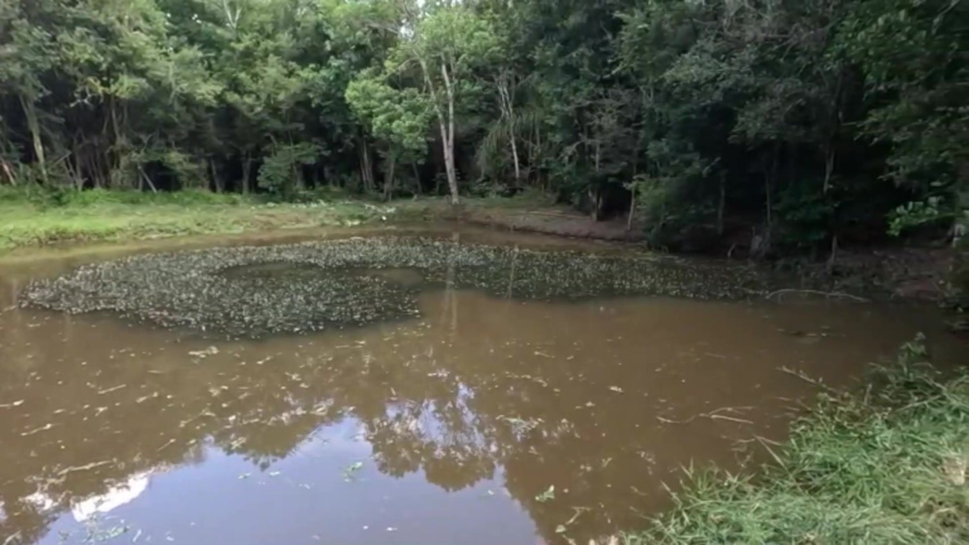 Chácara, 2 quartos, 4500 m² - Foto 23