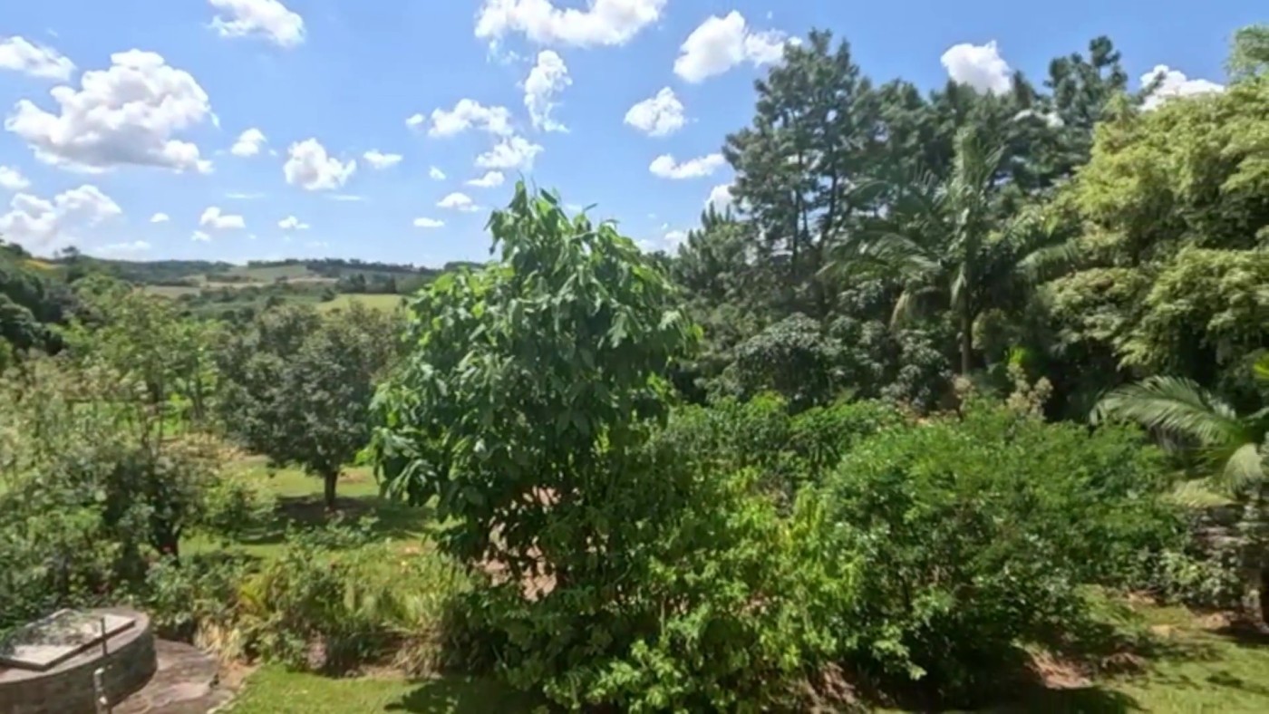 Chácara, 4 quartos, 6100 m² - Foto 12