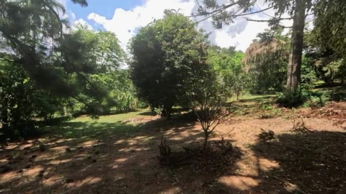 Chácara, 4 quartos, 6100 m² - Foto 30