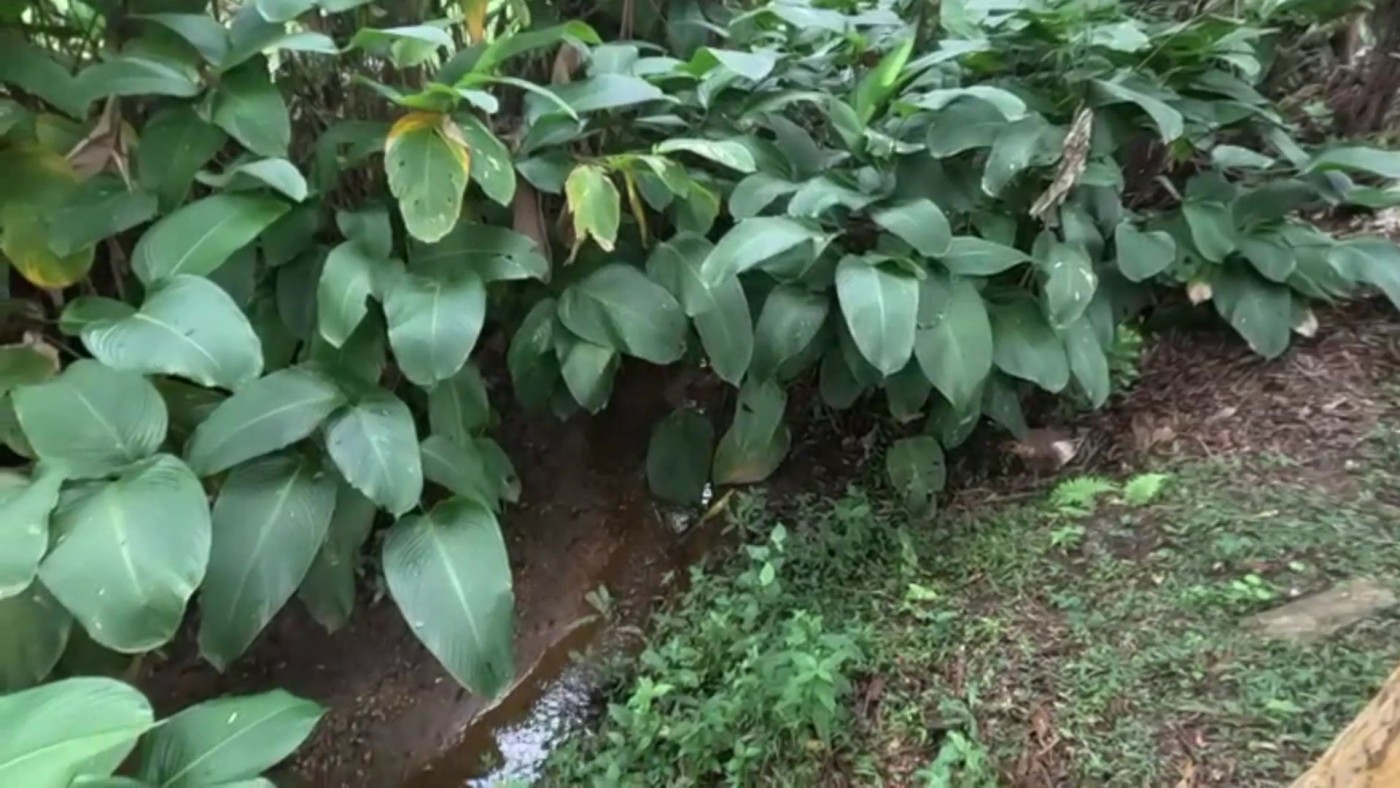 Casa de Condomínio, 3 quartos - Foto 49