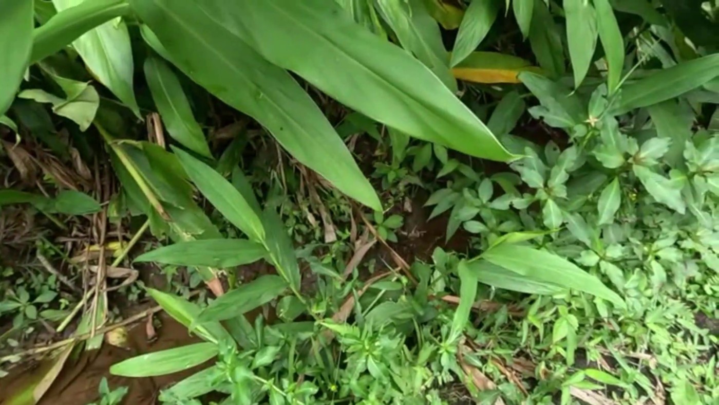 Casa de Condomínio, 3 quartos - Foto 48