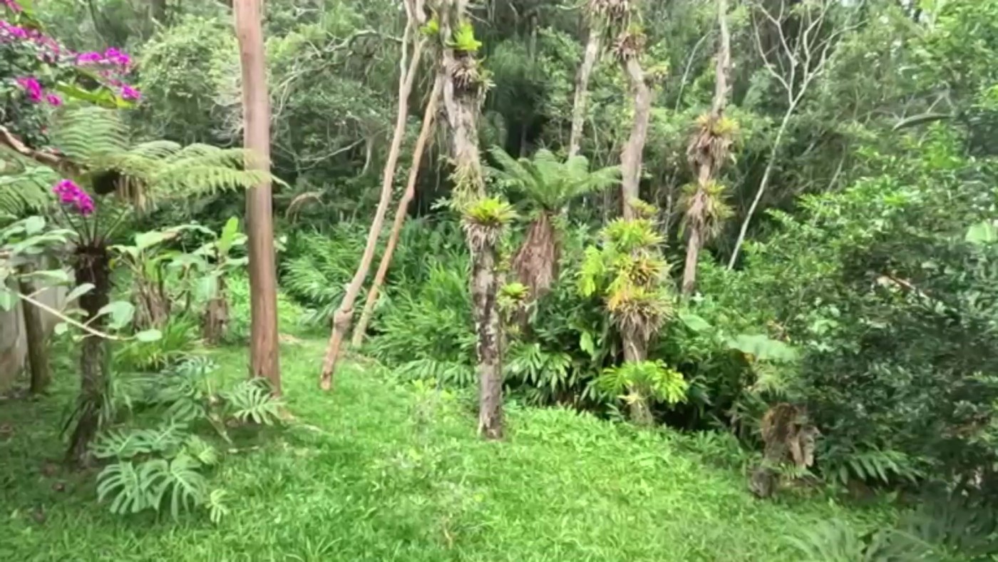 Casa de Condomínio, 3 quartos - Foto 46