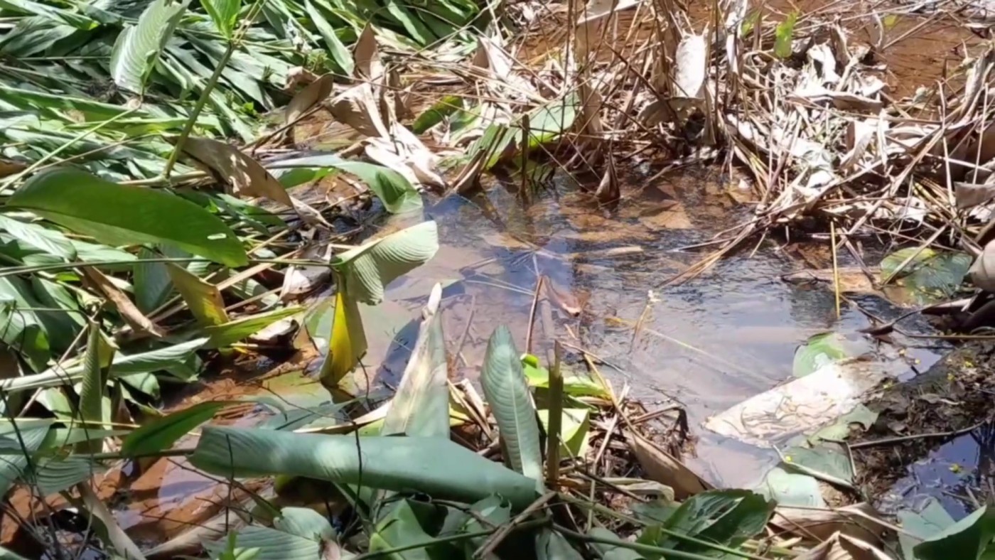 Casa de Condomínio, 2 quartos - Foto 2