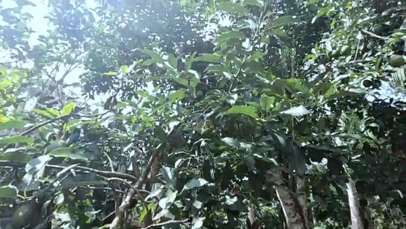 Casa de Condomínio, 2 quartos - Foto 24