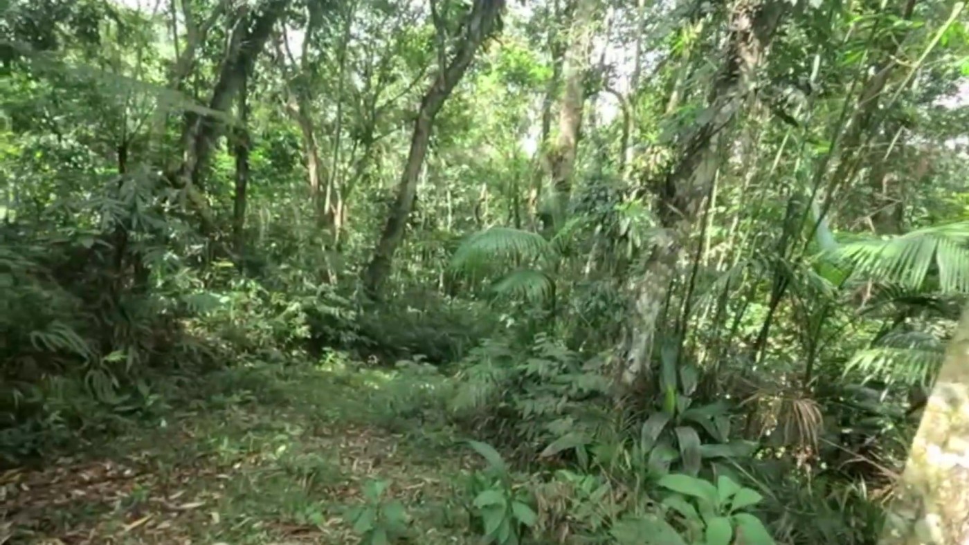 Casa de Condomínio, 2 quartos - Foto 25