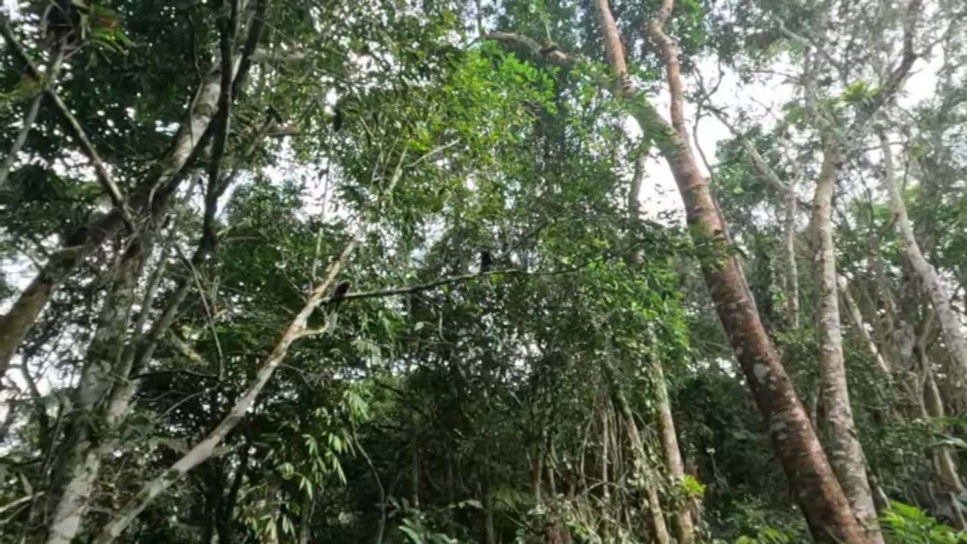 Casa de Condomínio, 2 quartos - Foto 26