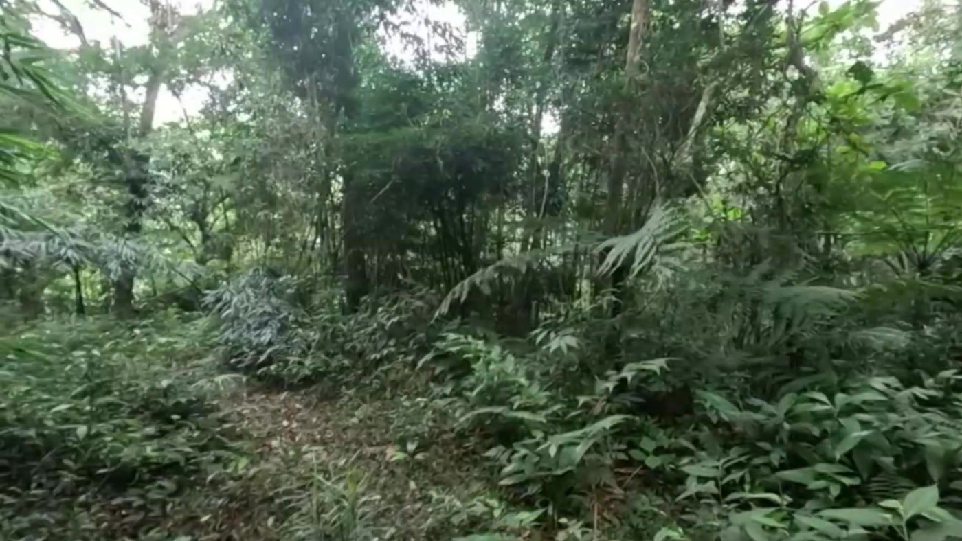 Casa de Condomínio, 2 quartos - Foto 28