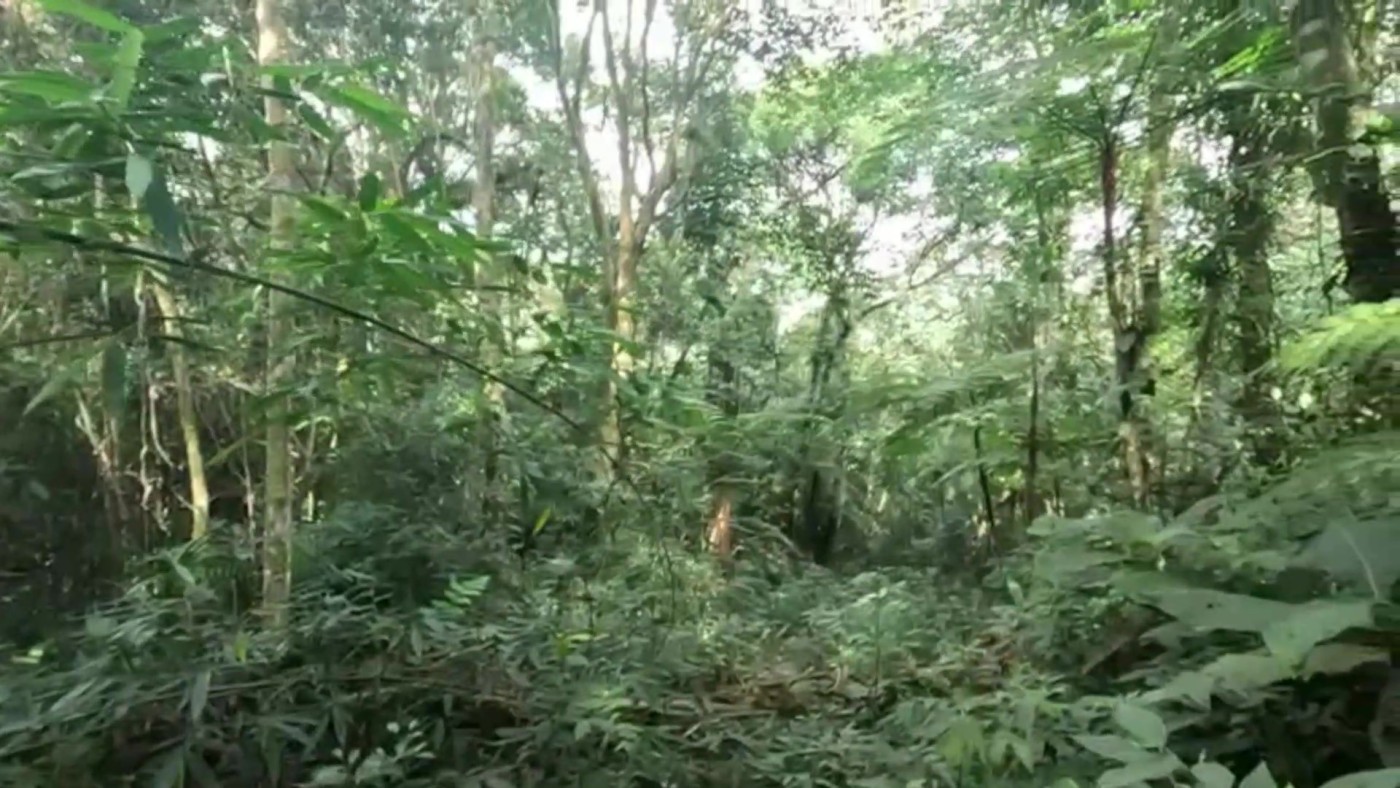 Casa de Condomínio, 2 quartos - Foto 27