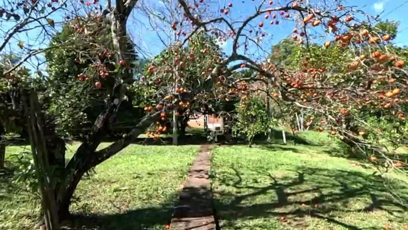 Loteamento e Condomínio, 6500 m² - Foto 40